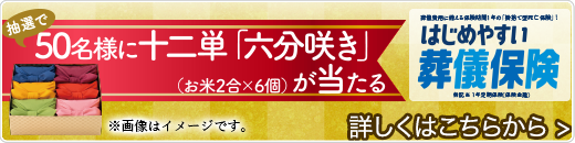 資料請求キャンペーン