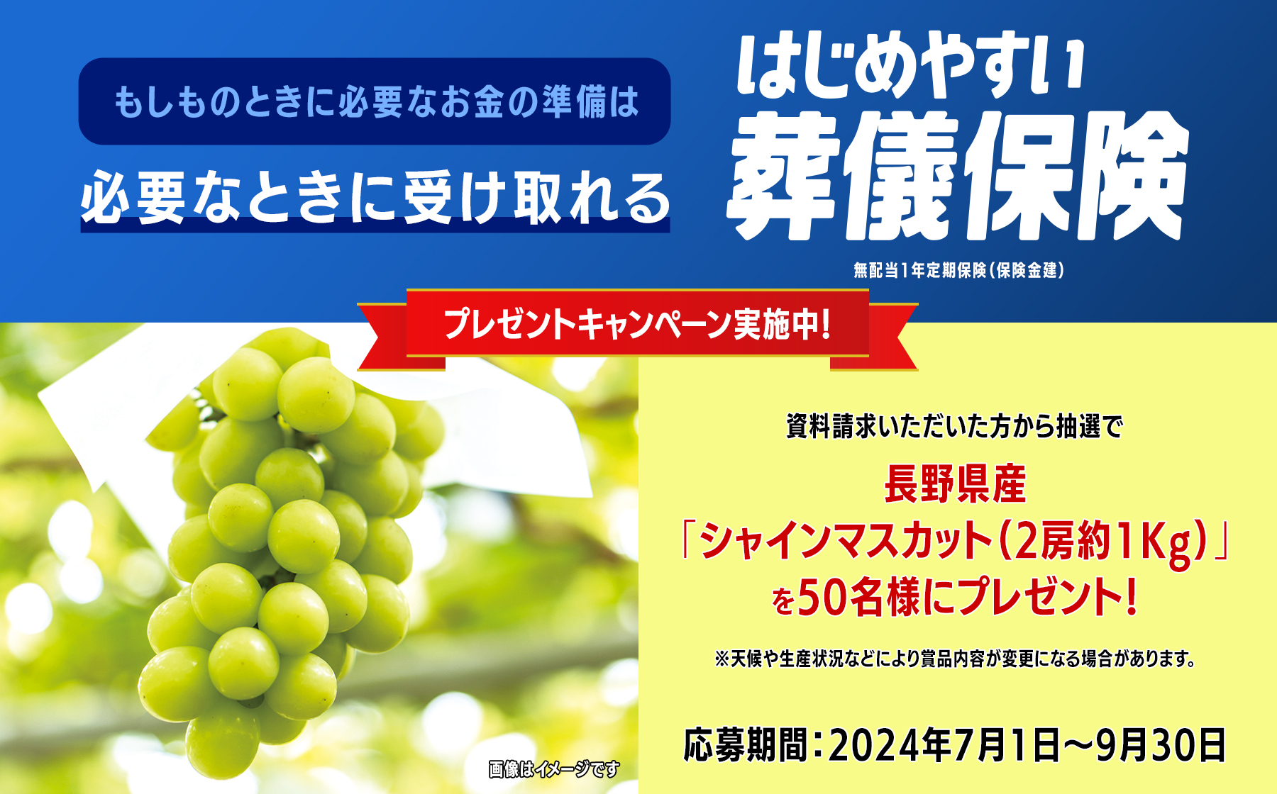 資料請求キャンペーン